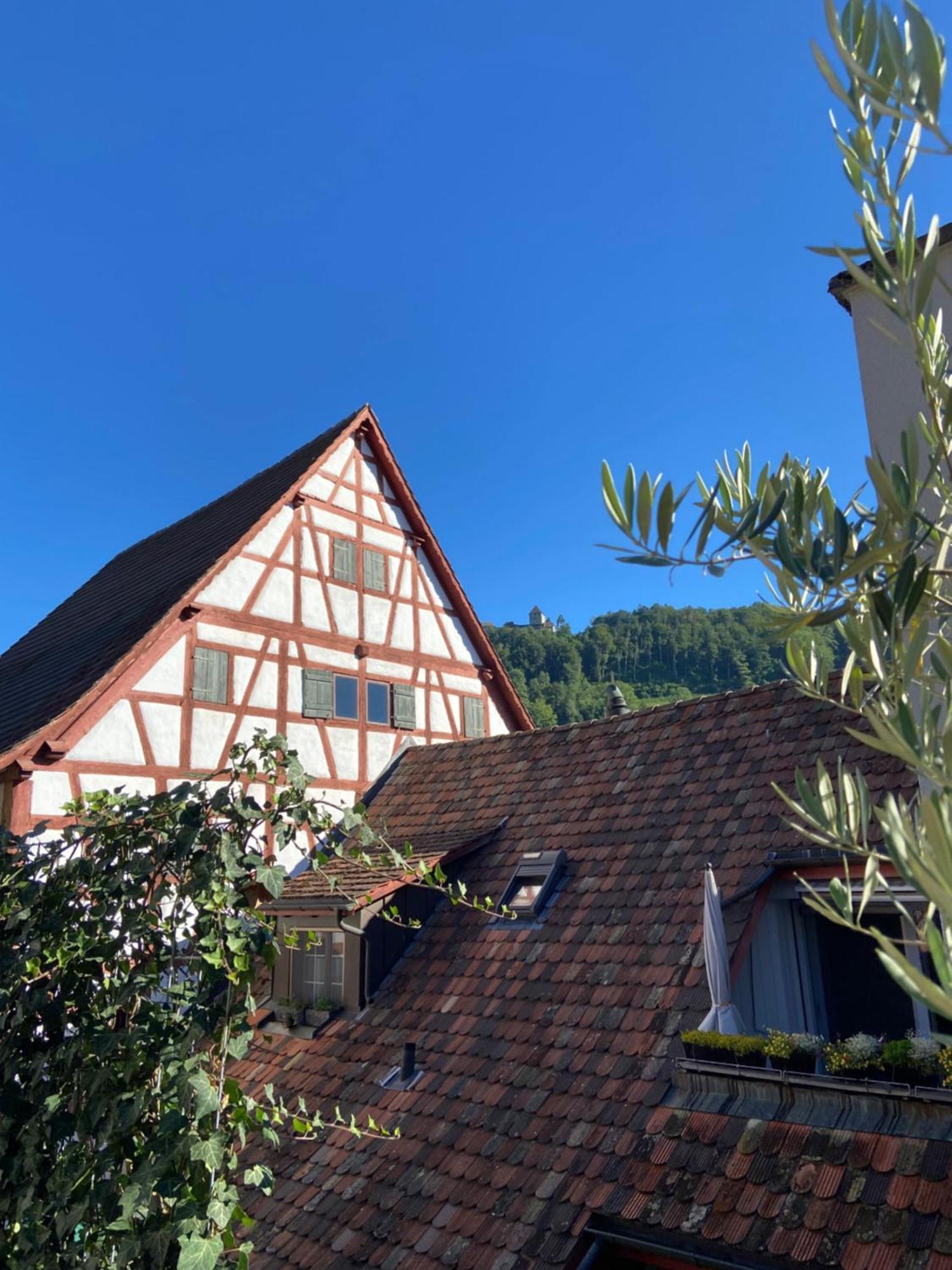 Understadt 14 Guesthouse Stein Am Rhein Exterior photo